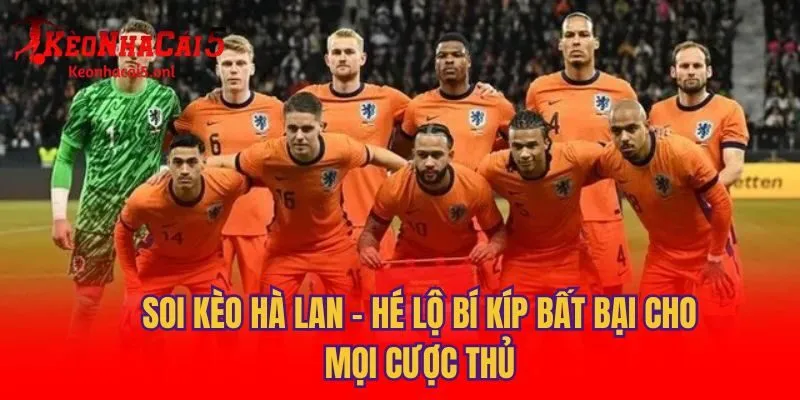 Soi Kèo Hà Lan - Hé Lộ Bí Kíp Bất Bại Cho Mọi Cược Thủ